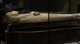 Neeilinis eksponatas Lietuvoje: galite išvysti mumijas (nuotr. stop kadras)