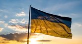 Ukrainos vėliava (nuotr. Shutterstock.com)