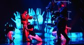 Atlikėjas Silvester Belt mėgins laimę „Eurovizijos“ atrankoje (nuotr. Armidos Čepukaitės)  