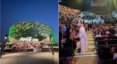 Dubajuje vykęs OVO šou  (tv3.lt fotomontažas)