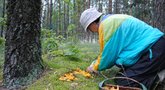 Šiukštu nelieskite šio radinio Lietuvos miškuose: įspėja visus BNS Foto