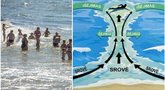 Smiltynės tragedija sukrėtė profesionalus: paaiškino, kaip plaukti jūroje (tv3.lt fotomontažas)
