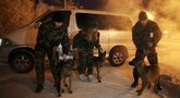 Klonuoti karo šunys: Putino specialiosioms pajėgoms padės genetiškai patobulinti šunys (nuotr. Organizatorių)