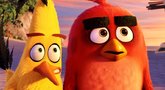 „Angry Birds“ filmas (nuotr. Organizatorių)