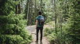 Pasivaikščiojimas miške (nuotr. Unsplash.com)