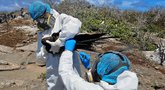 Galapagų salose – paukščių gripo protrūkio grėsmė (nuotr. SCANPIX)