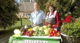 Pamatę savo daržą garsūs Lietuvos ūkininkai patyrė šoką: įspėja visus  
