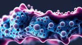 Šie daiktai namuose – bakterijų veisykla: išvalykite kuo greičiau, asociatyvi nuotrauka (nuotr. 123rf.com)