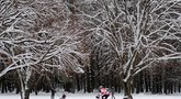 Žiemos pramogos Vingio parke (nuotr. Fotodiena.lt)
