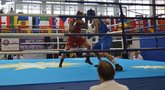 Europos jaunimo bokso čempionate kovoja 8 lietuviai (nuotr. boksofederacija.lt)