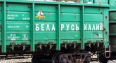 „Belaruskalij“ per teismą nepavyko „atšaldyti“ 30 proc. Birių krovinių terminalo akcijų  (nuotr. SCANPIX)
