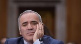 Vilniuje viešintis Garis Kasparovas: „Putinas jau seniai sudegino visus tiltus“ (nuotr. SCANPIX)