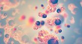 Vėžinės ląstelės (nuotr. Shutterstock.com)