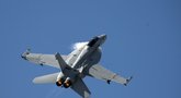 Naikintuvas F-18 (nuotr. SCANPIX)