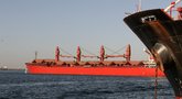 Laivai Raudonojoje jūroje (nuotr. SCANPIX)