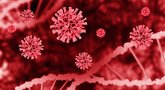Per parą šalyje – 44 koronaviruso atvejai  (nuotr. 123rf.com)
