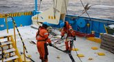 Švedija leido atlikti „Harmony Link“ jūros dugno tyrimus (nuotr. Organizatorių)