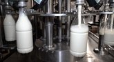 Pieno gamintojų atstovas neatmeta naujo protesto galimybėsi (nuotr. stop kadras)
