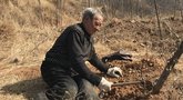 Neįgalus karo veteranas Ma Sanksjao Kinijos kalnuose pasodino 19 tūkstančių medžių. (chinanews.com nuotr.)  