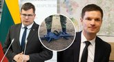 Konservatoriai siūlo lietuviams leisti įsigyti automatinius ginklus: „Nori taikos, ruoškis karui“ (tv3.lt koliažas)