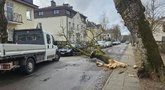 Vilniuje medis apgadino automobilį (nuotr. Broniaus Jablonsko)