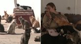 Moteris ir katės (tv3.lt koliažas)