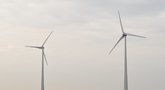 Vėjo jėgainės (Algirdas Kubaitis/Fotobankas)