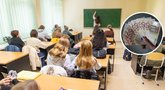 Privatūs darželiai ir mokyklos – išskirtinis ugdymas už 6,7 tūkst. eurų: kaip išsirinkti? (FNTT / Sauliaus Žiūros nuotr. koliažas)  