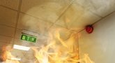 „Žalvariui“ gaisro padarytai žalai kompensuoti – beveik 2 mln. eurų (nuotr. Shutterstock.com)