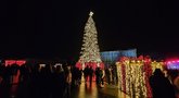 Marijampolėje tęsiasi Kalėdų šurmulys: net ir po švenčių žmonės kviečiami pasimėgauti žiemos pasaka  (nuotr. Raimundo Maslausko)