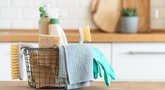 TOP7 natūralios virtuvės valymo priemonės: išbandykite (nuotr. Shutterstock.com)