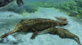 Mokslininkai atrado naują krokodilų rūšį: gyveno prieš 7 milijonus metų (nuotr. stop kadras)