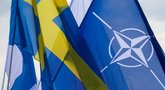 Vengrijai ratifikavus Švedijos paraišką dėl narystės NATO, Lietuvos vadovai tai vadina istorine diena  (nuotr. SCANPIX)