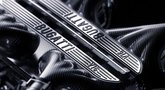 „Bugatti“ variklis (nuotr. gamintojo)