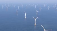 Lietuva Baltijos jūroje planuoja statyti galingą vėjo elektrinių parką (nuotr. stop kadras)