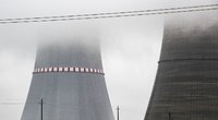 Atominė elektrinė (BNS Foto)