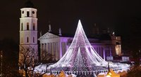 Vilniaus Kalėdų eglė sutvisko 70 tūkstančių lempučių  