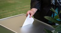 Rinkėjai balsuoja rinkimuose (Fotodiena/Justinas Auškelis)  