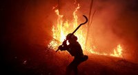 Miškų gaisrai (nuotr. SCANPIX)