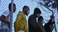 Migrantų stovykla Graikijoje (nuotr. SCANPIX)