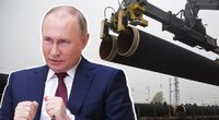 Kai kurių NATO šalių veiksmai glumina: „Gaila, bet Putino Rusija labai sėkmingai eksportavo korupciją“ (tv3.lt koliažas)