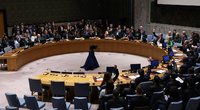 Rusija ir Kinija Saugumo Taryboje griežtai sukritikavo JAV dėl antskrydžių Irake ir Sirijoje (nuotr. SCANPIX)