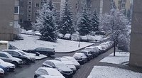 Lietuvoje krenta pirmasis sniegas (nuotr. „Facebook“/„Orų entuziastai“)  