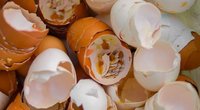Kiaušinių lukštai (nuotr. Shutterstock.com)