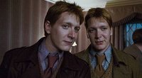 Prisimenate dvynius iš „Hario Poterio“? Nustebsite, kaip jie atrodo dabar (nuotr. facebook.com)