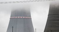 Atominė elektrinė, BNS Foto