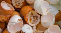 Kiaušinių lukštai (nuotr. Shutterstock.com)