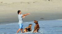 Vaikinas su šunimis paplūdimyje (nuotr. SCANPIX)