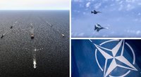 Virš Baltijos jūros – pavojingas rusų naikintuvų ir NATO laivyno susidūrimas (nuotr. SCANPIX) tv3.lt fotomontažas