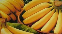 Bananai (nuotr. eyespopping.com)  